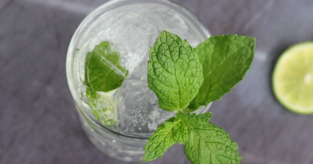 Mojito Sem Álcool
