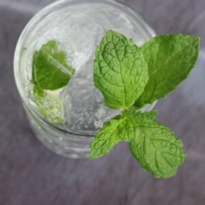 Tequila Mojito - Drink com Tequila